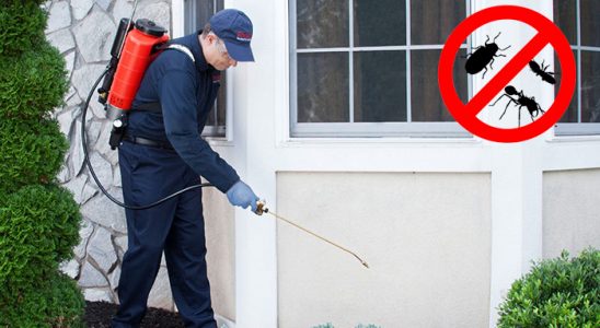Ardeşen Böcek İlaçlama böcek ilaçlama ve haşere kontrolü — ilaclama-tr.com